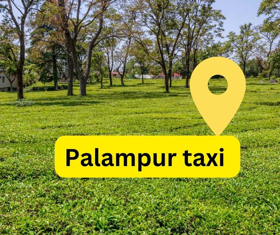 dharamshala to palampur taxi