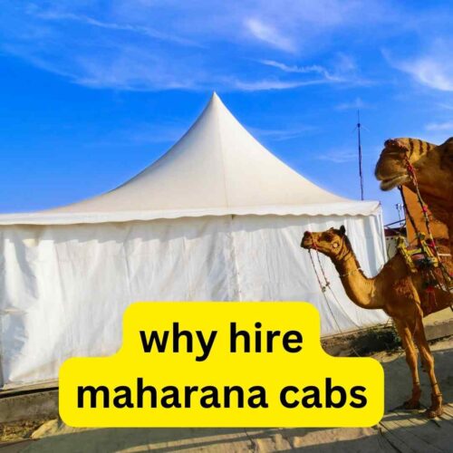 why hire cabs